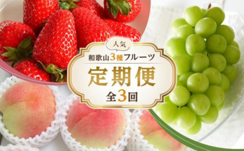 【全3回】和歌山厳選フルーツ定期便（ いちご 桃 シャインマスカット ）［MG16］ 2106418 - 和歌山県那智勝浦町