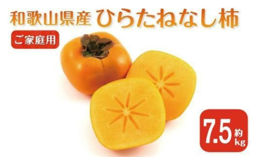 【2025年9月下旬以降発送】 ◆先行予約◆ 和歌山県産 平核無柿＜ご家庭用＞約7.5kg 満杯詰め  柿 種無し たねなし ひらたね 訳あり ［MG87］ 2106459 - 和歌山県那智勝浦町