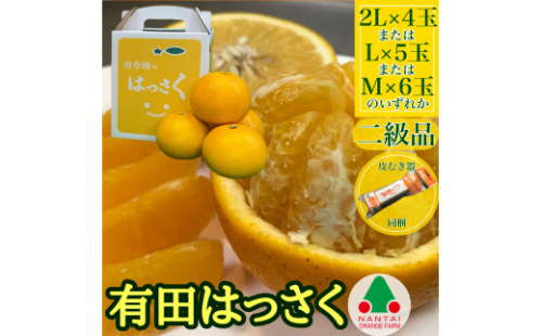 ちょっと 傷あり 手さげ箱 有田 はっさく 2L ～ M 4～6玉入 ムッキー 同梱 南泰園 みかん 2106539 - 和歌山県有田川町