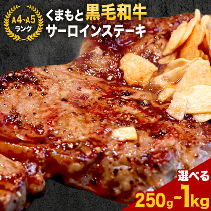 【A4～A5】くまもと黒毛和牛 サーロインステーキ 選べる 250g 500g 1kg 《30日以内に出荷予定(土日祝除く)》 牛肉 くまもと黒毛和牛 黒毛和牛 冷凍庫 サーロイン ステーキ 2106627 - 熊本県長洲町