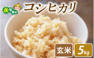 [先行予約]永平寺町飯島産 コシヒカリ [玄米]5kg /ふるさと納税 米 5kg 福井県 永平寺町 の おいしい お米 発祥の地 こめ おこめ 白米 精米 国産 限定 ごはん ご飯 白飯 ゴハン 玄米 ふるさと ランキング 人気 おすすめ 送料無料 産地直送 農家直送 福井県 永平寺 国産米 [B-074002]
