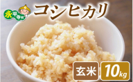 [先行予約]永平寺町飯島産 コシヒカリ [玄米]10kg /ふるさと納税 米 福井県 永平寺町 の おいしい お米 発祥の地 こめ おこめ 玄米 精米 国産 限定 ごはん ご飯 白飯 ゴハン 玄米 ふるさと ランキング 人気 おすすめ 送料無料 産地直送 農家直送 福井県 永平寺 国産米 [C-074002]