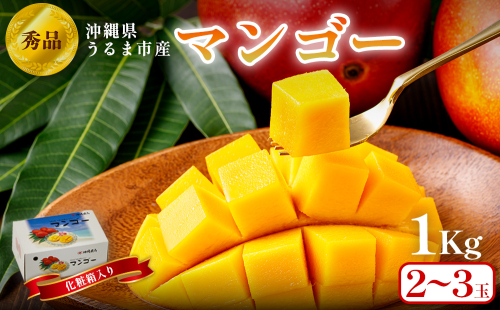 沖縄県 うるま市産 完熟 マンゴー 秀品 1kg【2025年発送】 2106666 - 沖縄県うるま市