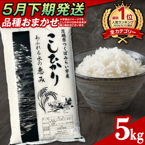 【 5月下期発送 / 数量限定 】茨城県産 精米 5kg (品種おまかせ） 令和6年産 こしひかり 米 コメ こめ 単一米 限定 茨城県産 国産 美味しい お米 おこめ おコメ 2106668 - 茨城県つくばみらい市