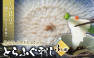 U01-01 とらふぐ刺し（3人前）※2025年6月発送分 薬味 ポン酢付き 国産 とらふぐ ふぐ ふぐ刺し てっさ 刺身 冷蔵 人気 おすすめ トラフグ 高品質