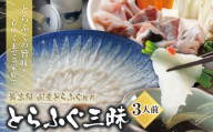 U01-02-01 とらふぐセット（3人前）※2025年6月発送分 ふぐ刺し ふぐ鍋 薬味 ポン酢付き とらふぐ トラフグ ふぐ 河豚 ふぐちり 人気 とらふぐ 国産 てっさ てっちり おすすめ とらふぐ 刺身 鍋 セット