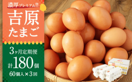 数量限定！！夏涼しく冬暖かい、養鶏に適した神栖の土地で健康に育った鶏が産んだ玉子。茨城県産のパプリカなど良質なエサを食べているため、黄身の色がとても鮮やかなオレンジ色で、味はまろやかです。■産地神栖市