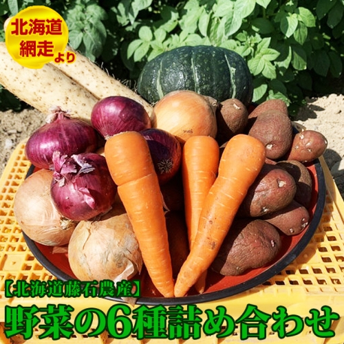北海道藤石農産　野菜の6種詰め合わせ※2020年9月中旬～12月中旬頃に順次発送予定 210685 - 北海道網走市