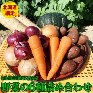北海道藤石農産　野菜の6種詰め合わせ※2020年9月中旬～12月中旬頃に順次発送予定