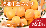 [2026年先行予約]特選 あんず ハーコット 4パック(約2kg)| 信州あんず 横島あんず 杏子 アンズ アプリコット 期間限定 千曲市 長野県産 信州
