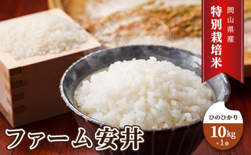お米 【2025年11月～発送予定】 特別栽培米 ひのひかり 10kg×1袋 米 白米 岡山県産 ファーム安井 精米 ライス ご飯 おにぎり お弁当 和食 主食 国産 炭水化物 直送 産地直送 粘り 香り バランス 2107284 - 岡山県赤磐市