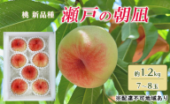 桃 2025年 先行予約 瀬戸の朝凪 KU-PP1 約1.2kg 7～8玉 新品種 モモ もも フルーツ 果物 岡山 赤磐市産