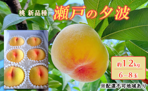 桃 2025年 先行予約 瀬戸の夕波 KU-PP2 約1.2kg 6～8玉 新品種 モモ もも フルーツ 果物 岡山 赤磐市産 2107287 - 岡山県赤磐市