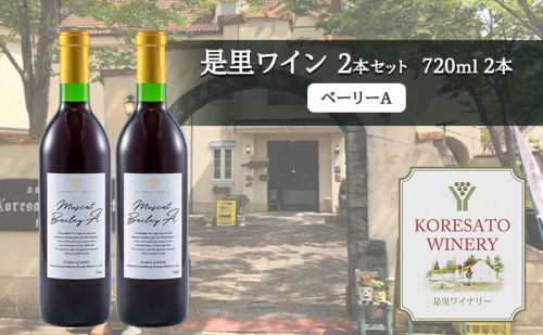 是里 ワイン 果実酒 ベーリーA 720ml 2本 岡山 赤磐市 お酒 2107300 - 岡山県赤磐市