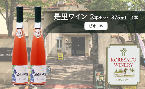是里 ワイン 果実酒 ピオーネ 375ml 2本 岡山 赤磐市 お酒 2107301 - 岡山県赤磐市