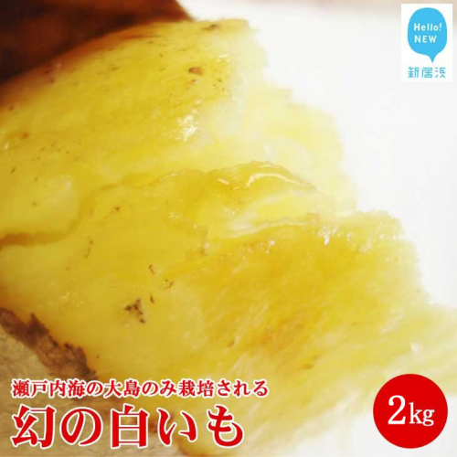 【先行予約】【数量限定】 新居浜大島産 幻のさつまいも 『白いも』 2kg 七福芋 白芋 希少 2107334 - 愛媛県新居浜市