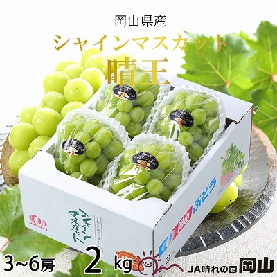 【2026年7月上旬より発送】岡山県産 シャインマスカット 晴王 2kg(3房～6房) ぶどう 葡萄 ブドウ フルーツ 果物 2107346 - 岡山県玉野市