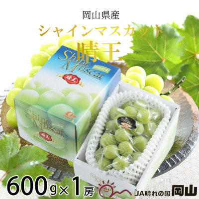 【2026年8月下旬より発送】岡山県産 シャインマスカット 晴王 600g×1房 ぶどう 葡萄 ブドウ フルーツ 果物 2107349 - 岡山県玉野市