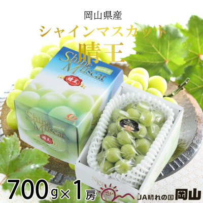 【2026年8月下旬より発送】岡山県産 シャインマスカット 晴王 700g×1房 ぶどう 葡萄 ブドウ フルーツ 果物 2107350 - 岡山県玉野市
