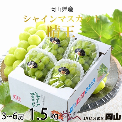 【2026年8月下旬より発送】岡山県産 シャインマスカット 晴王 1.5kg(3房～6房) ぶどう 葡萄 ブドウ フルーツ 果物 2107355 - 岡山県玉野市