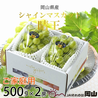 【2026年8月下旬より発送】ご家庭用 岡山県産 シャインマスカット 晴王 500g×2房 ぶどう 葡萄 ブドウ フルーツ 果物 2107361 - 岡山県玉野市