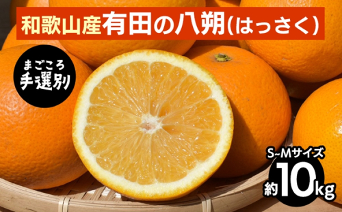 【まごころ手選別】有田のはっさく【八朔】約10kg　S～Mサイズ ※2026年1月上旬～3月下旬頃に順次発送予定 2107856 - 和歌山県美浜町