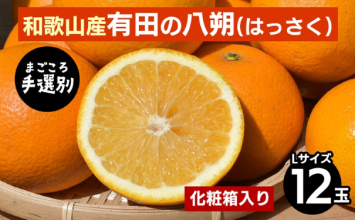 【まごころ手選別】和歌山産有田のはっさく　化粧箱　Lサイズ12個入り ※2026年1月上旬～3月下旬頃に順次発送予定 2107857 - 和歌山県美浜町