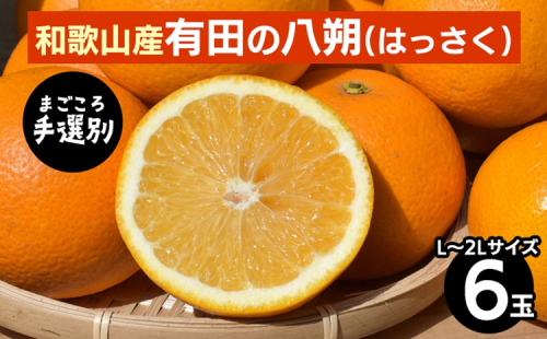 【まごころ手選別】和歌山産有田のはっさく(6玉×1箱、L～2Lサイズ) ※2026年1月上旬～3月下旬頃に順次発送予定 2107858 - 和歌山県美浜町