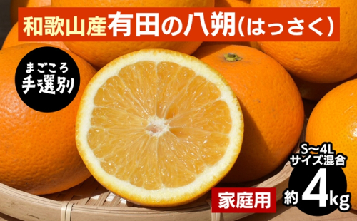 【まごころ手選別】有田の八朔(はっさく)約4kg(S～4Lサイズ混合)家庭用 ※2026年1月上旬～3月下旬頃に順次発送予定 2107859 - 和歌山県美浜町