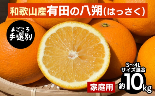 【まごころ手選別】有田の八朔(はっさく)約10kg(S～4Lサイズ混合)家庭用 ※2026年1月上旬～3月下旬頃に順次発送予定 2107860 - 和歌山県美浜町