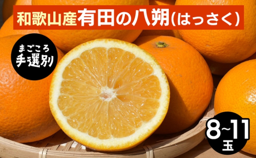 【まごころ手選別】和歌山産有田のはっさく　8～11玉 ※2026年1月上旬～3月下旬頃に順次発送予定 2107861 - 和歌山県美浜町