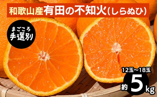 【まごころ手選別】和歌山産　有田の不知火(しらぬひ)5kg(12玉～18玉) ※2026年2月上旬～4月下旬頃に順次発送予定 2107862 - 和歌山県美浜町