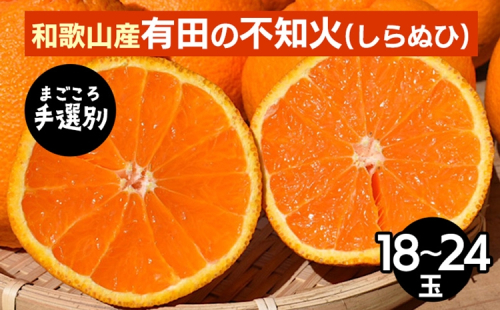 【まごころ手選別】和歌山産　有田の不知火(しらぬひ)18玉～24玉 ※2026年2月上旬～4月下旬頃に順次発送予定 2107863 - 和歌山県美浜町