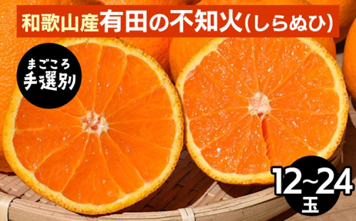 【まごころ手選別】和歌山産　有田の不知火(しらぬひ)12玉～24玉 ※2026年2月上旬～4月下旬頃に順次発送予定 2107864 - 和歌山県美浜町