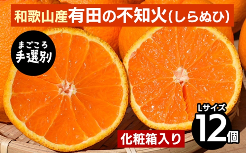 【まごころ手選別】和歌山産　有田の不知火(しらぬひ) 化粧箱(フルーツキャップ付き)Lサイズ12個入り ※2026年2月上旬～4月下旬頃に順次発送予定 2107865 - 和歌山県美浜町
