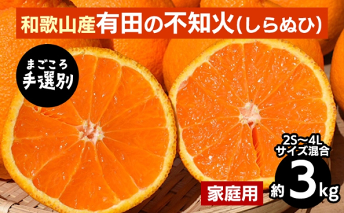 【まごころ手選別】和歌山産　有田の不知火(しらぬひ)約3kg(2S～4Lサイズ混合)【家庭用】 ※2026年2月上旬～4月下旬頃に順次発送予定 2107867 - 和歌山県美浜町