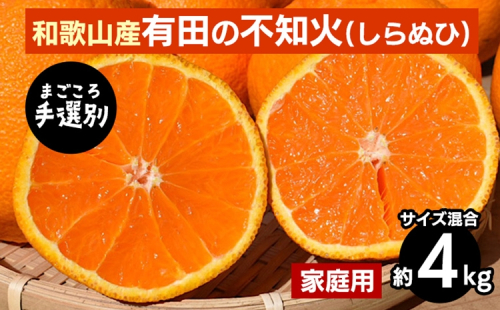 【まごころ手選別】和歌山産　有田の不知火(しらぬひ)約4kg(サイズ混合)【家庭用】 ※2026年2月上旬～4月下旬頃に順次発送予定 2107868 - 和歌山県美浜町