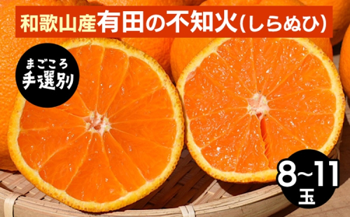 【まごころ手選別】和歌山産　有田の不知火(しらぬひ)8～11玉 ※2026年2月上旬～4月下旬頃に順次発送予定 2107869 - 和歌山県美浜町