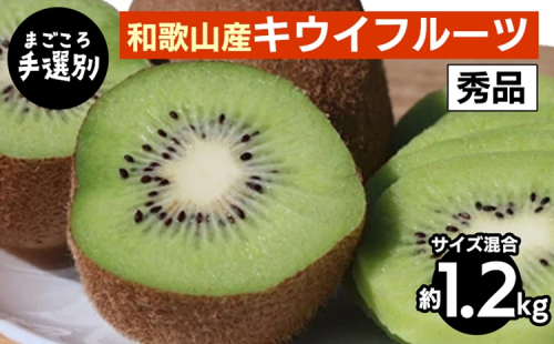 【まごころ手選別】和歌山産　キウイフルーツ　約1.2kg(サイズ混合)　秀品 ※2026年1月下旬～3月中旬頃に順次発送予定 2107870 - 和歌山県美浜町