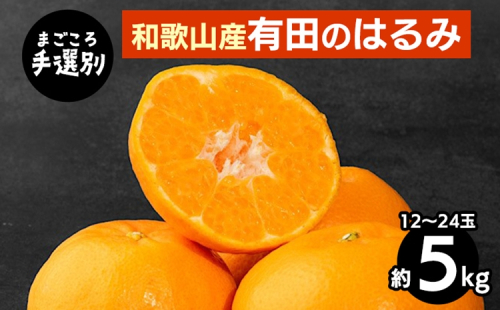 【まごころ手選別】和歌山産　有田のはるみ　約5kg　12玉～24玉 ※2026年1月中旬～2月下旬頃に順次発送予定 2107872 - 和歌山県美浜町