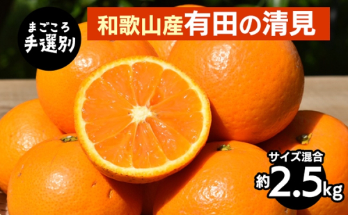 【まごころ手選別】和歌山産　有田の清見　約2.5kg(サイズ混合) ※2026年3月上旬～4月下旬頃に順次発送予定 2107874 - 和歌山県美浜町