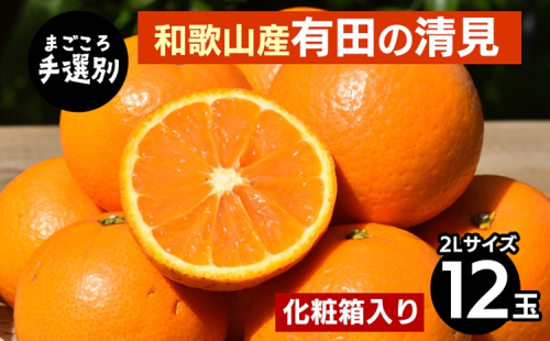 【まごころ手選別】和歌山産　有田の清見　化粧箱 2Lサイズ 12個入り ※2026年3月上旬～4月下旬頃に順次発送予定 2107877 - 和歌山県美浜町