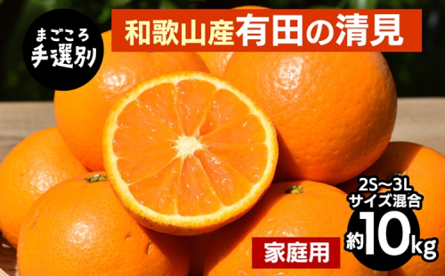 【まごころ手選別】和歌山産　有田の清見　約10kg(2S～3Lサイズ混合)【家庭用】 ※2026年3月上旬～4月下旬頃に順次発送予定 2107879 - 和歌山県美浜町