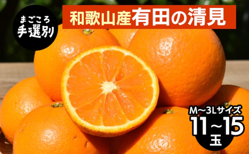 【まごころ手選別】和歌山産　有田の清見　11玉～15玉(M～3Lサイズ) ※2026年3月上旬～4月下旬頃に順次発送予定 2107880 - 和歌山県美浜町