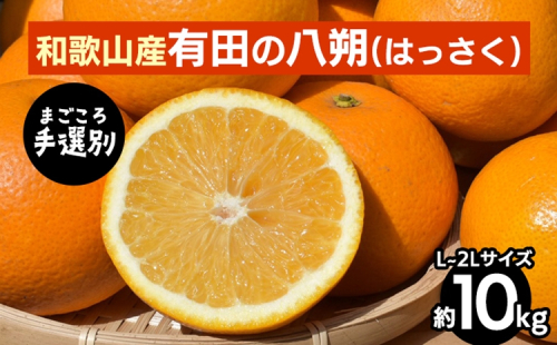 【まごころ手選別】有田のはっさく【八朔】約10kg　L～2Lサイズ ※2026年1月上旬～3月下旬頃に順次発送予定 2107882 - 和歌山県美浜町