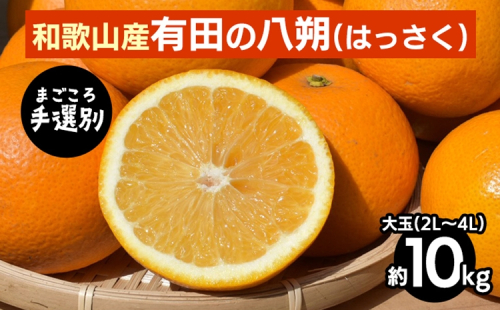 【まごころ手選別】有田のはっさく【八朔】10kg大玉(2L～4L) ※2026年1月上旬～3月下旬頃に順次発送予定 2107883 - 和歌山県美浜町