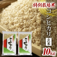 SA2088　令和5年産【玄米】特別栽培米 コシヒカリ10kg(5kg×2袋) YA