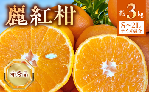 BF6062_（2026年先行受付）麗紅柑 (れいこう) 赤秀品 S～2Lサイズ 3kg 和歌山有田産 2108096 - 和歌山県湯浅町