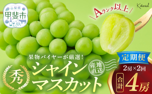 【2025年分発送】 定期便 シャインマスカット 2房 約1.3kg 2回 計4房 先行予約 先行 予約 山梨県産 国産 産地直送 人気 おすすめ 贈答 ギフト お取り寄せ フルーツ 果物 くだもの ぶどう ブドウ 葡萄 シャイン シャインマスカット 新鮮 甘い 皮ごと 山梨 甲斐市 AD-247 2108097 - 山梨県甲斐市