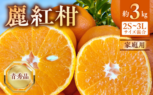 BF6063_（2026年先行受付）麗紅柑 (れいこう) 青秀品 (家庭用) 2S～3Lサイズ 3kg 和歌山有田産 2108098 - 和歌山県湯浅町